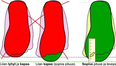 20.pohjallinen.piirros.mitta.jpg